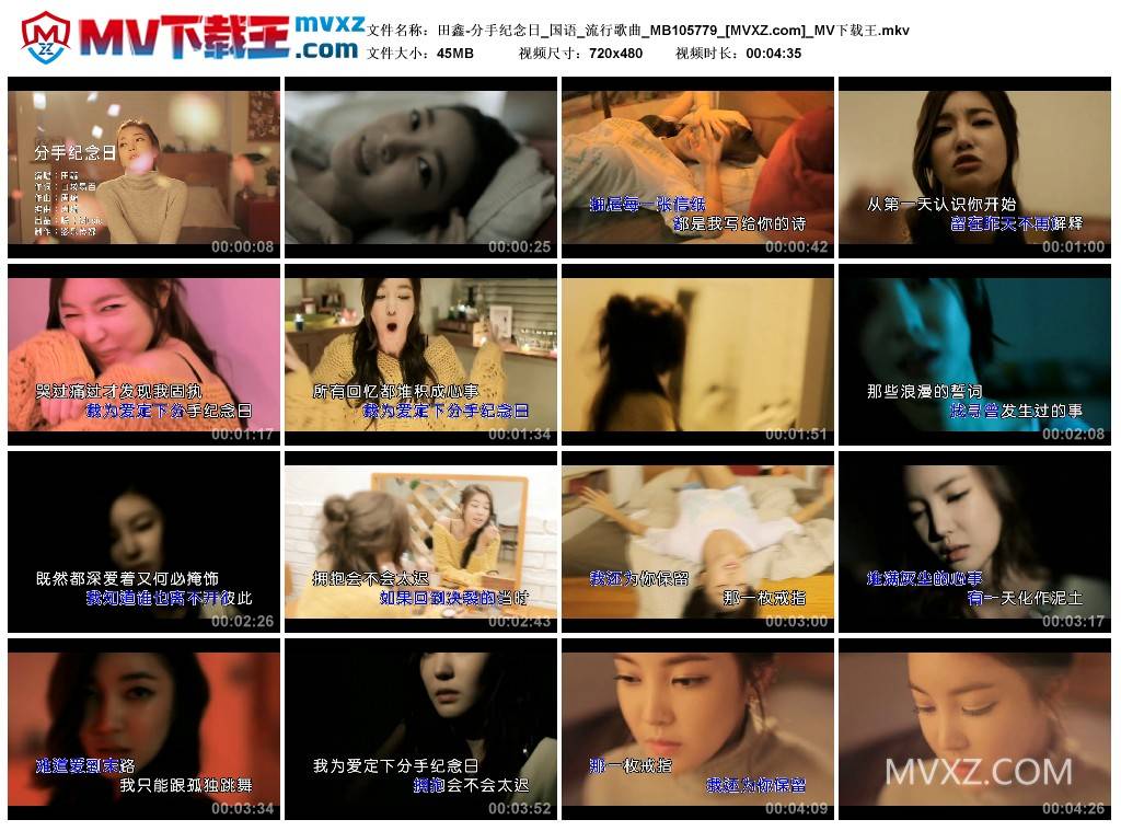 田鑫-分手纪念日_国语_流行歌曲_MB105779